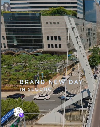  Brand New Day  in seocho